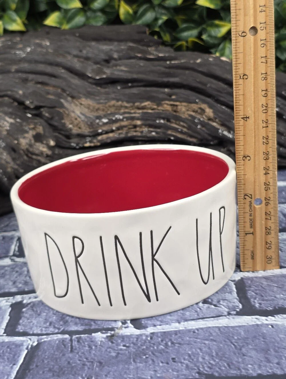 Rae Dunn DRINK UP Ceramic Pet Water Bowl – Red & White